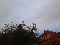 Olešná