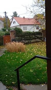 Fotografie