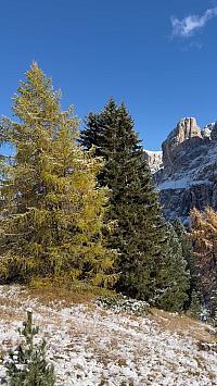 Fotografie