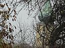 Nitra