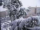 Divišov