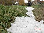 Radešín (Podřipsko)