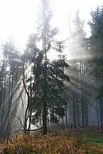 Toužim