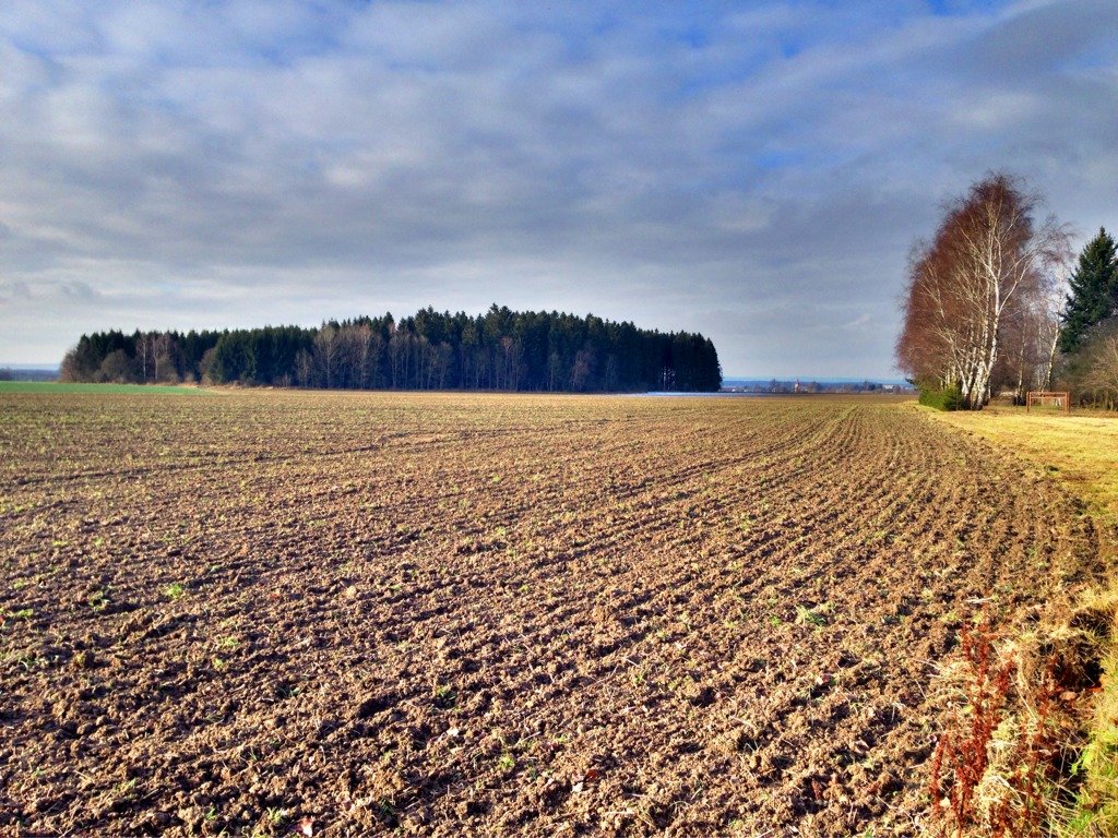 Ostrý Kámen