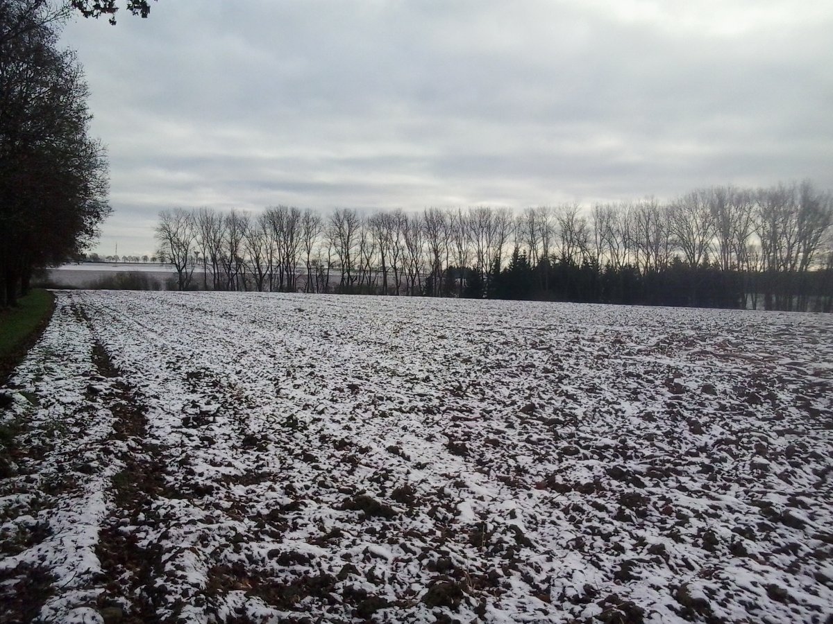 Tábor
