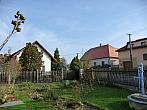 Třibřichy