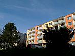 Borovina