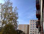 Borovina