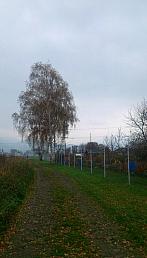 Šumperk