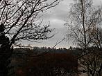 Borovina
