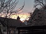 Třibřichy