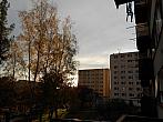 Borovina