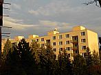 Borovina