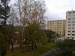 Borovina