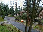 Borovina