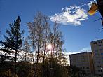 Borovina