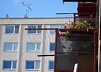 Borovina