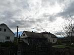 Třibřichy