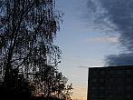 Borovina