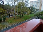 Borovina