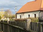 Třibřichy