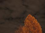 Blansko