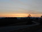 Borovina
