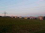 Borovina