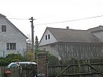 Třibřichy