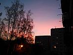 Borovina
