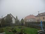 Třibřichy