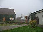 Třibřichy