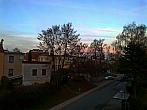 Borovina