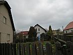 Třibřichy