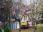 Borovina