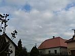 Třibřichy