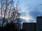 Borovina