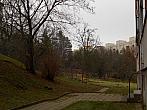 Borovina