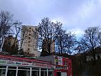 Borovina