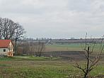 Třibřichy