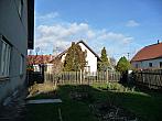 Třibřichy