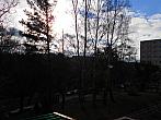 Borovina