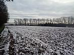 Tábor