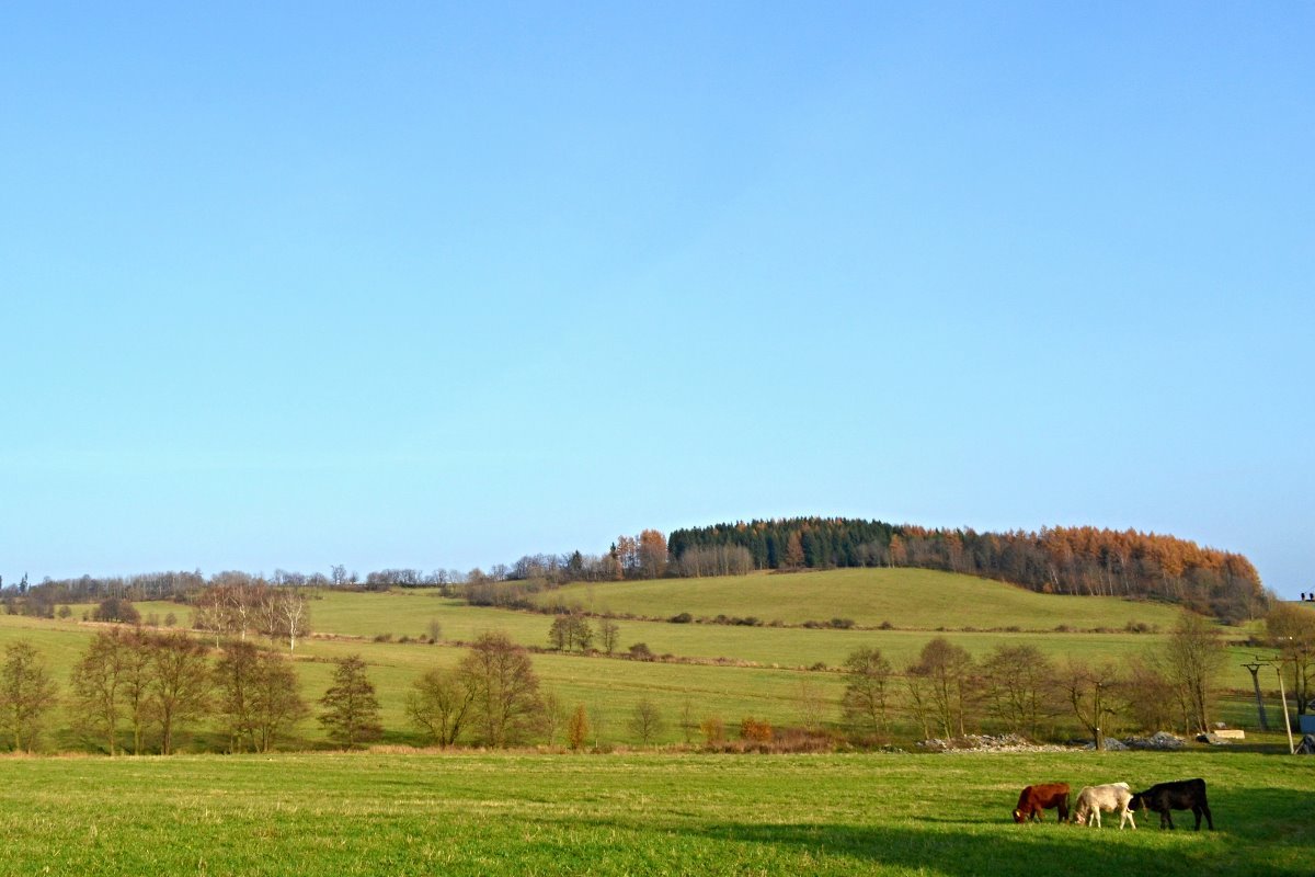 Světlá  Hora