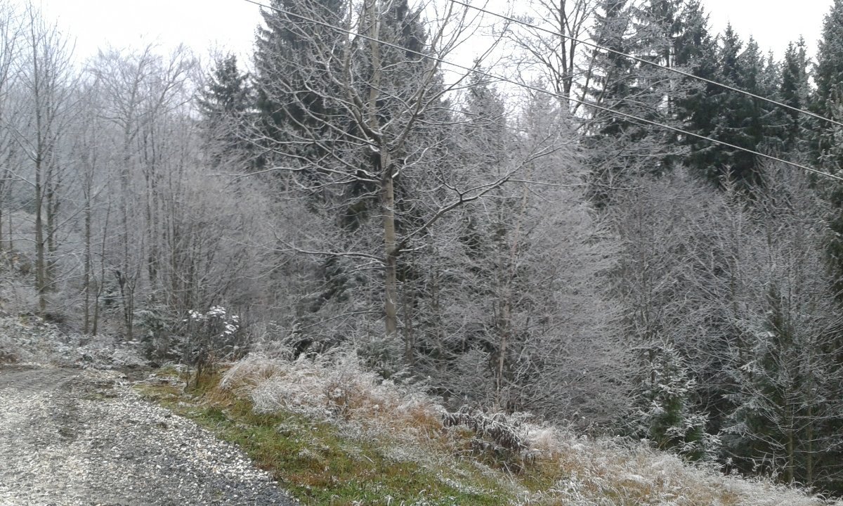 vrbno  pod  pradědem