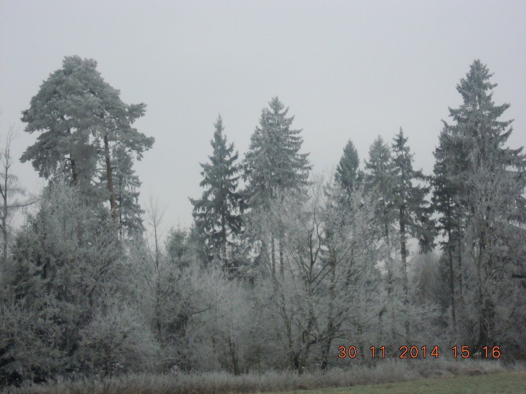 Vítkov