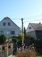 Třibřichy
