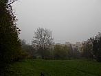Borovina