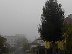Borovina