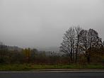 Borovina